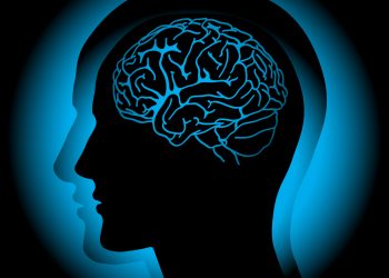 Qu'est-ce que CVA? – Oren Zarif