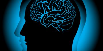 Qu'est-ce que CVA? – Oren Zarif