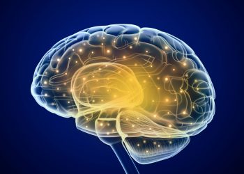 Qu'est-ce que CVA? – Oren Zarif